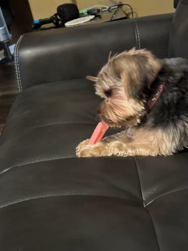 Customer photo review of MIX FLAVORED (Strawberry, Banana, Pumpkin, & Blueberry): A PACK OF 4 STICKS