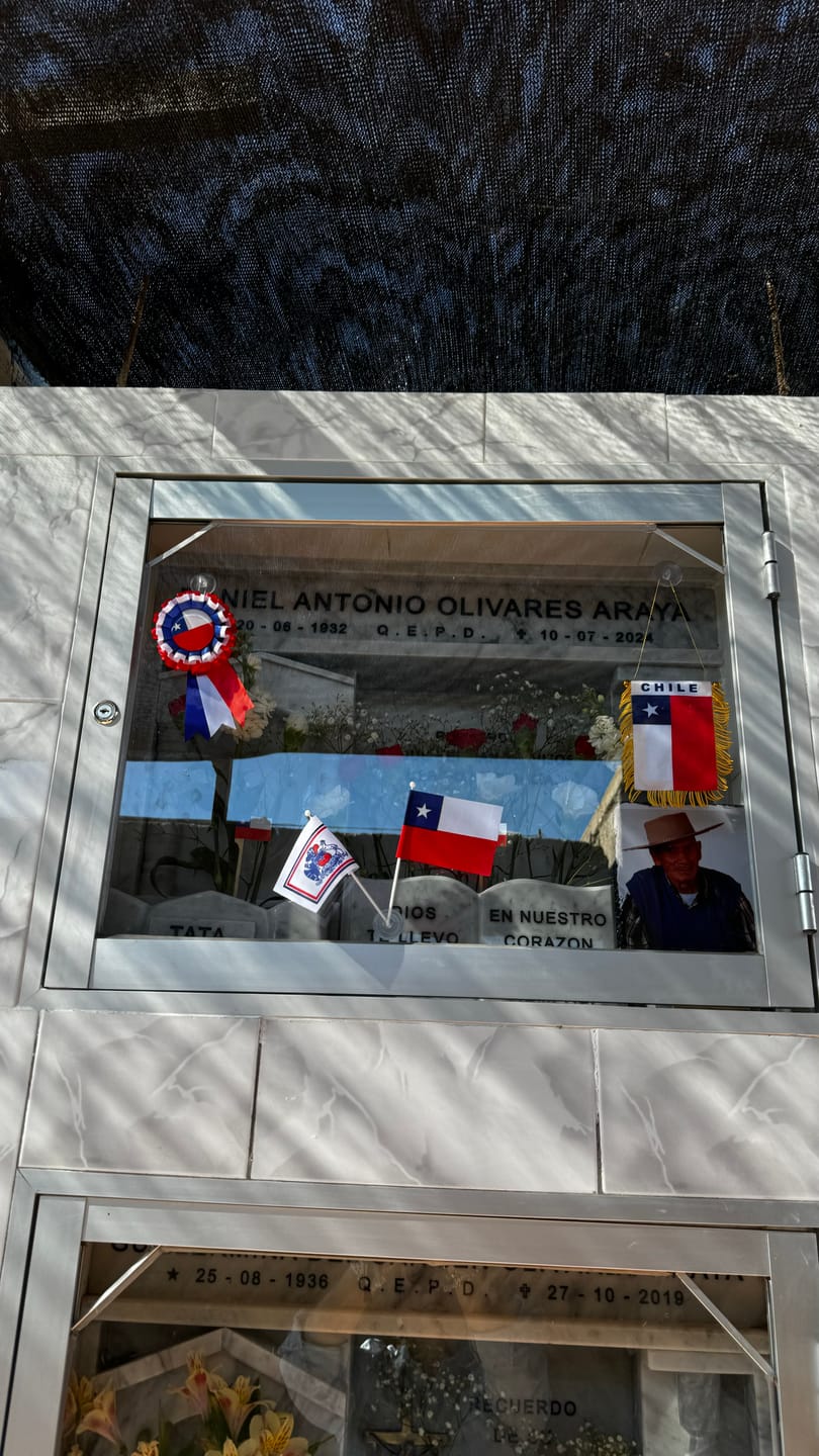 Customer photo review of Placa Azul Mix