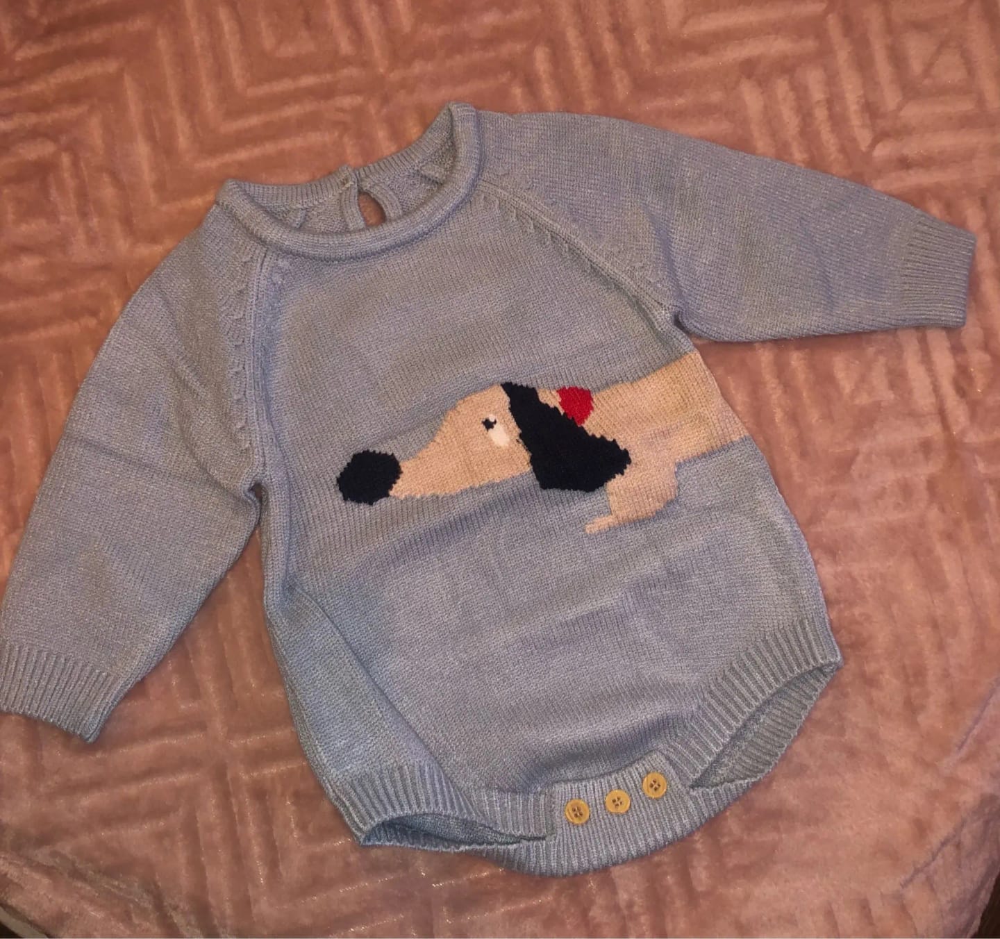 Customer photo review of Newborn Dog Design Knitted Bodysuit