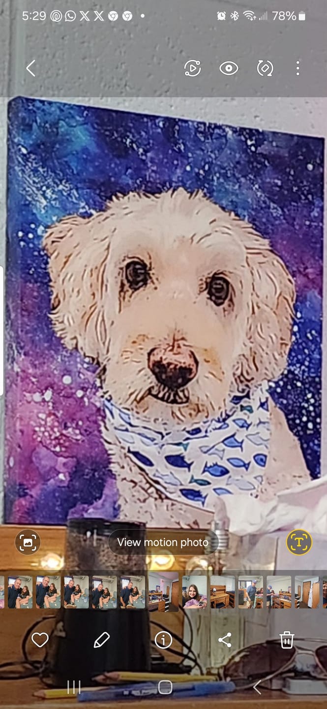 Customer photo review of Custom Pet Art Canvas Wrap