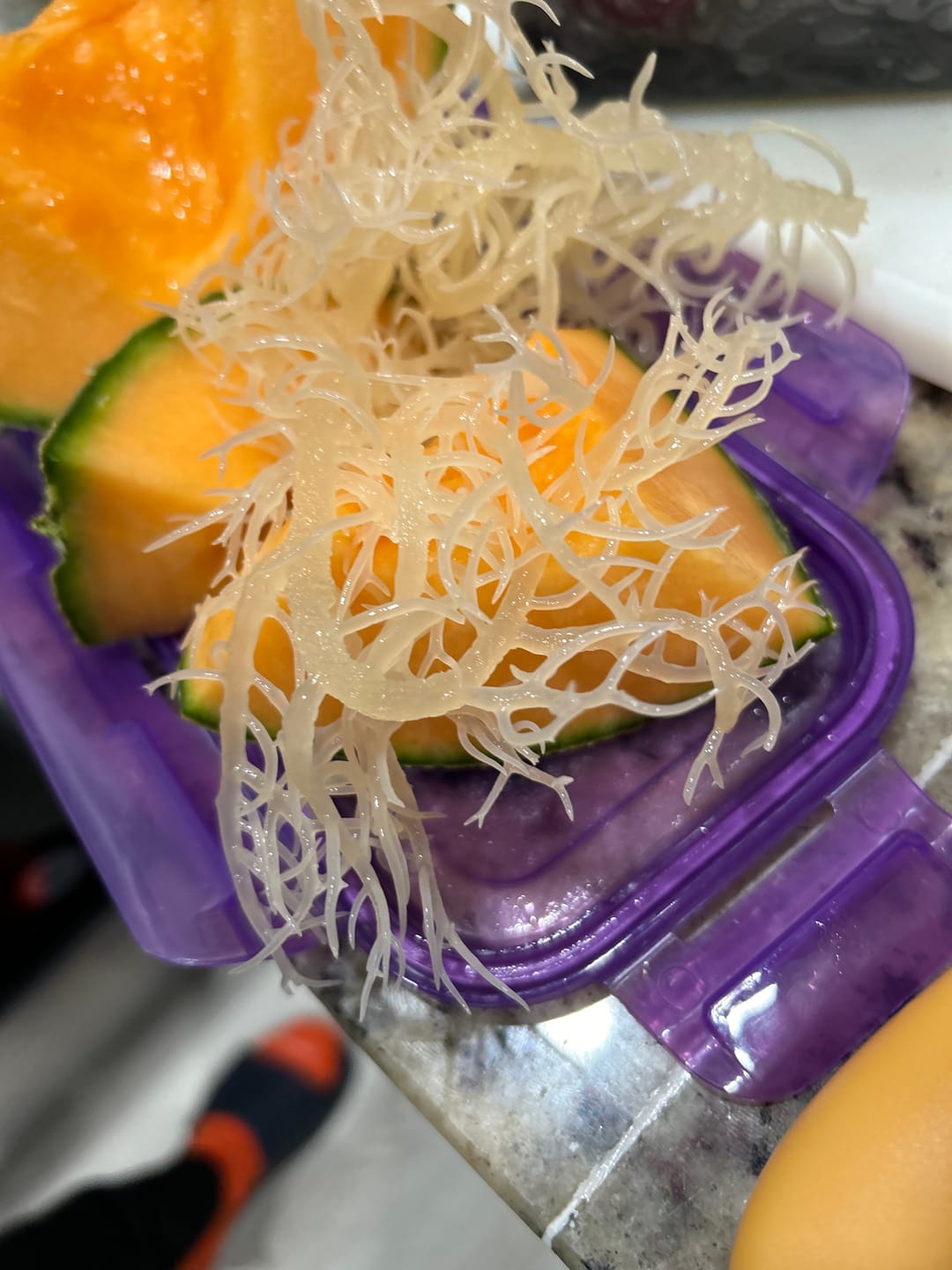 Customer photo review of Premium Full Spectrum St. Lucian Wildcrafted Raw Sun dried Sea Moss (Irish Sea Moss)