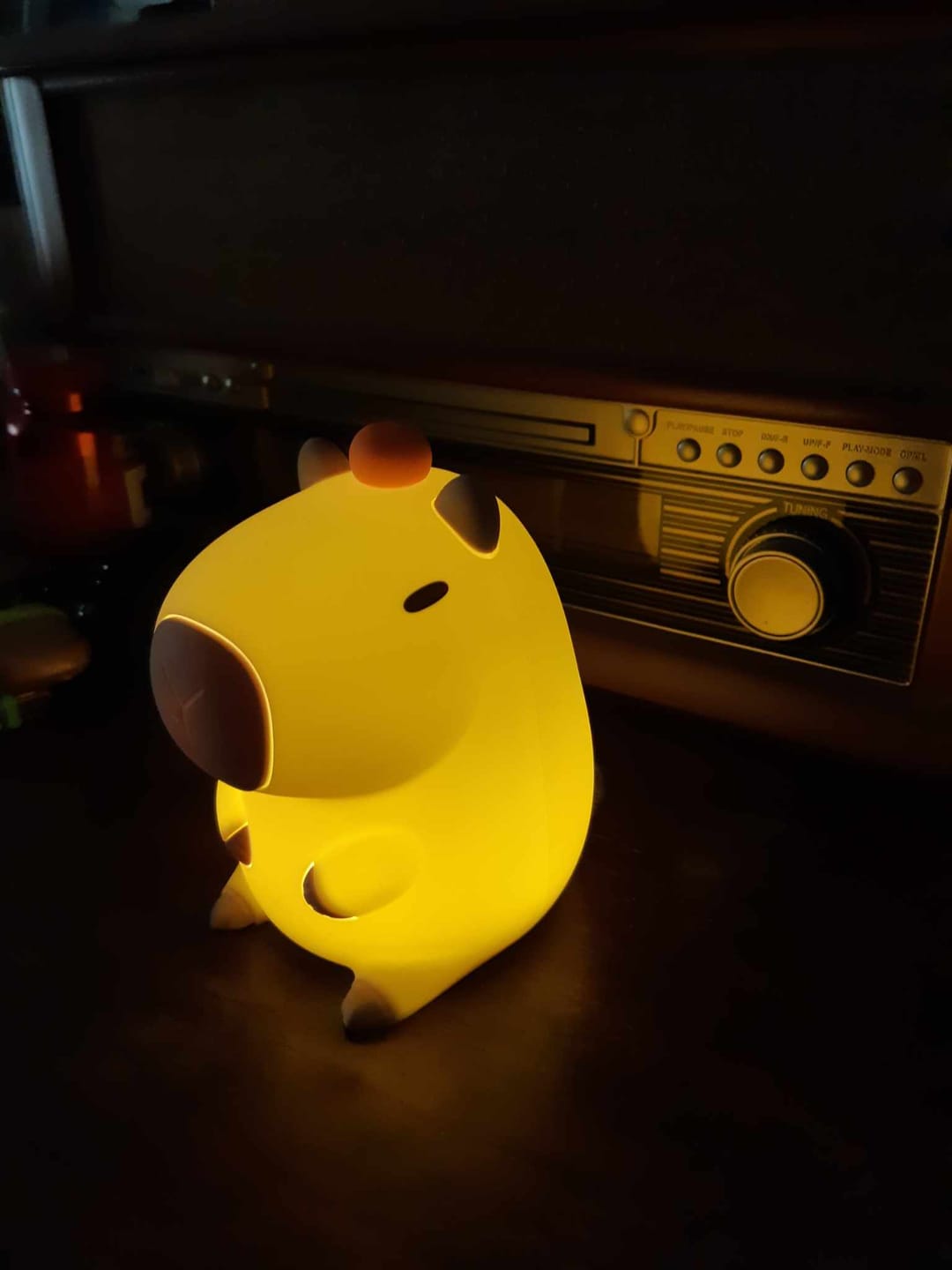 Customer photo review of MeWaii® Capybara Squishy Night Light - Perfect Gift 🎁