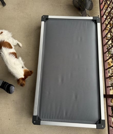 Customer photo review of TitanNest Padded Chew-Proof Elevated Dog Bed for Your Chewer