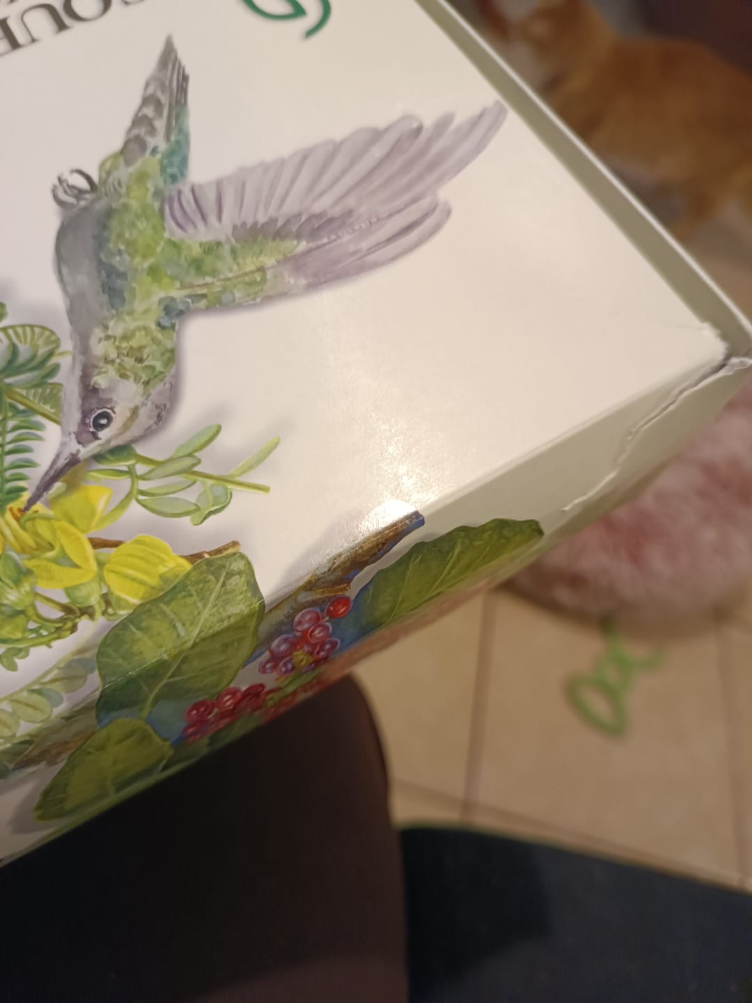 Customer photo review of Memorice Aves de Chile