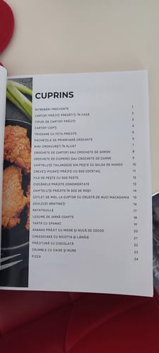 Customer photo review of Air Fryer Novio Grill & Fry