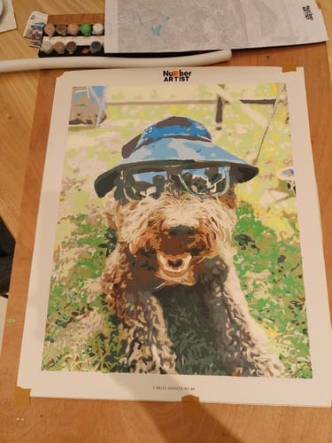 Customer photo review of Custom Paint by Numbers Kit