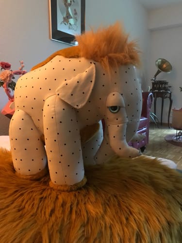 Customer photo review of The Dotty Mammoth