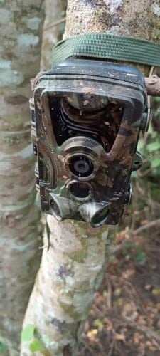 Customer photo review of Camera de surveillance extérieure avec écran - Nature & Chasse®