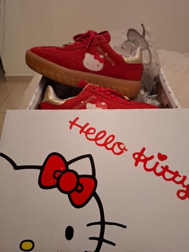 Customer photo review of HK Aniv Especial Edition