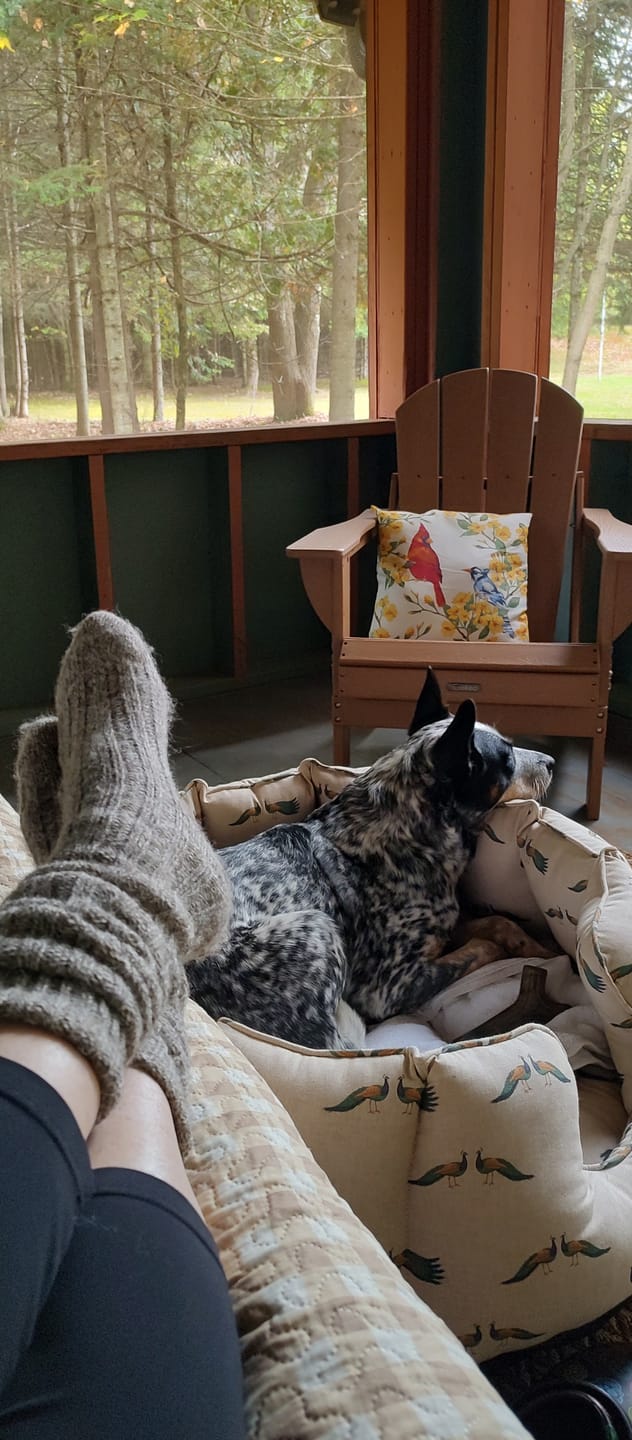 Customer photo review of Knee High Irish Jacob Sheep Socks