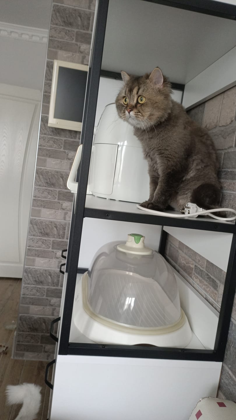 Customer photo review of Rani JE143 Çok Amaçlı Dolap 3 Kapaklı 3 Çekmeceli Kiler Mutfak Dolabı Beyaz