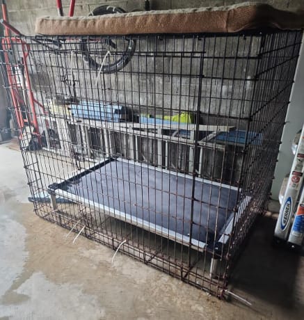 Customer photo review of TitanNest Padded Chew-Proof Elevated Dog Bed for Your Chewer