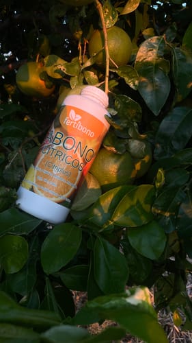 Customer photo review of Fertibono CitriPlus: Abono Cítricos, (1L), Rico en Hierro, Zinc, Magnesio, NPK y Mat.Orgánica – Abono Plantas con Extractos Vegetales, Ecológico, Residuo Cero.