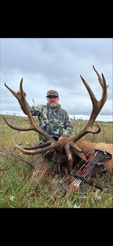 Customer photo review of Beast Broadheads (2-Pack + Practice Tip)