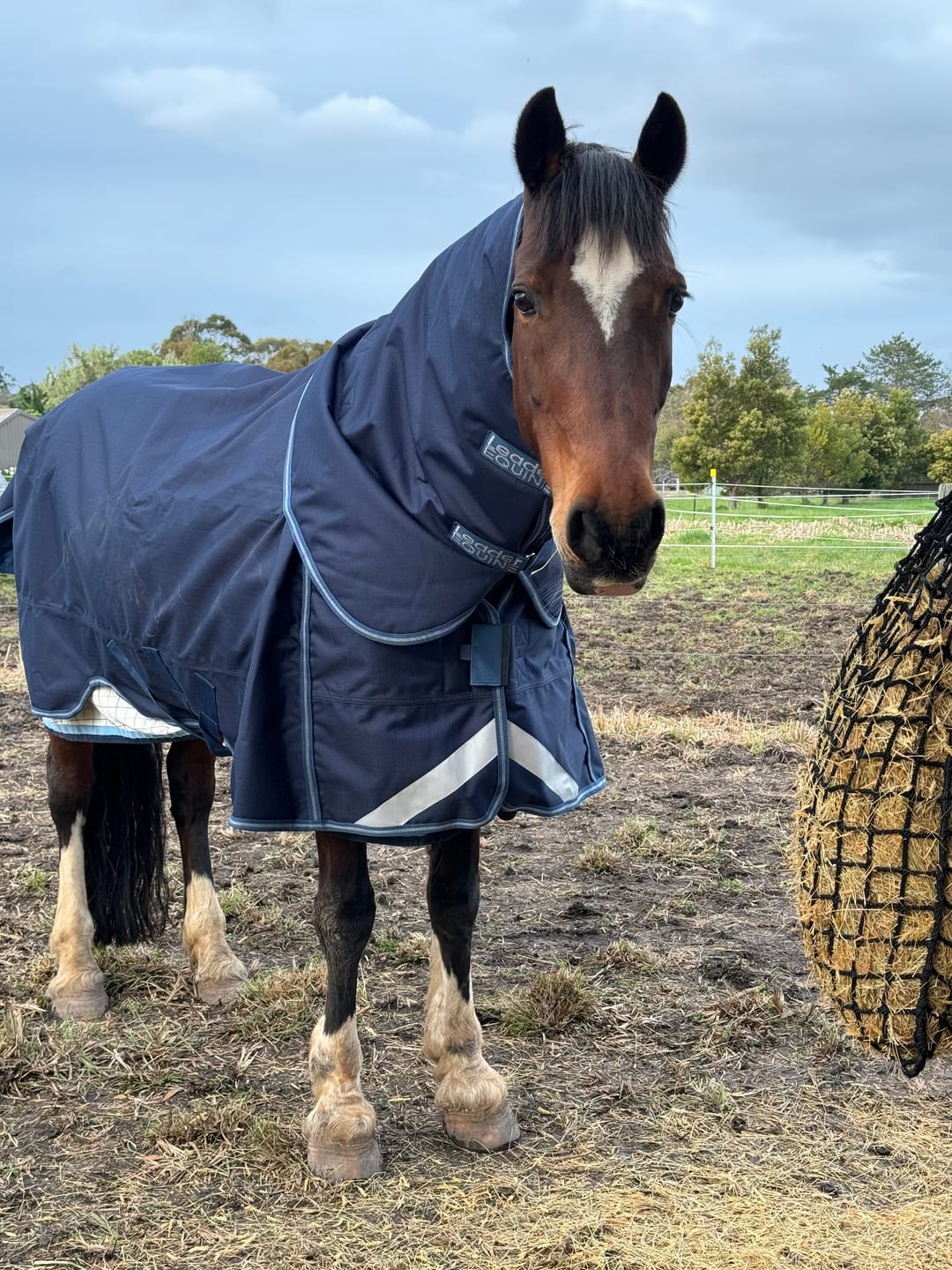Customer photo review of LE Boxter Turnout Ripstop 200g