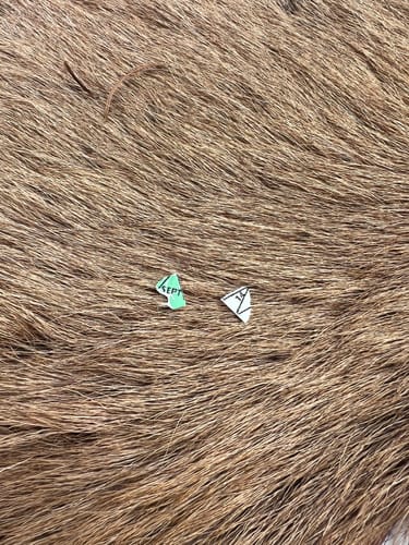 Customer photo review of Beast Broadheads (2-Pack + Practice Tip)