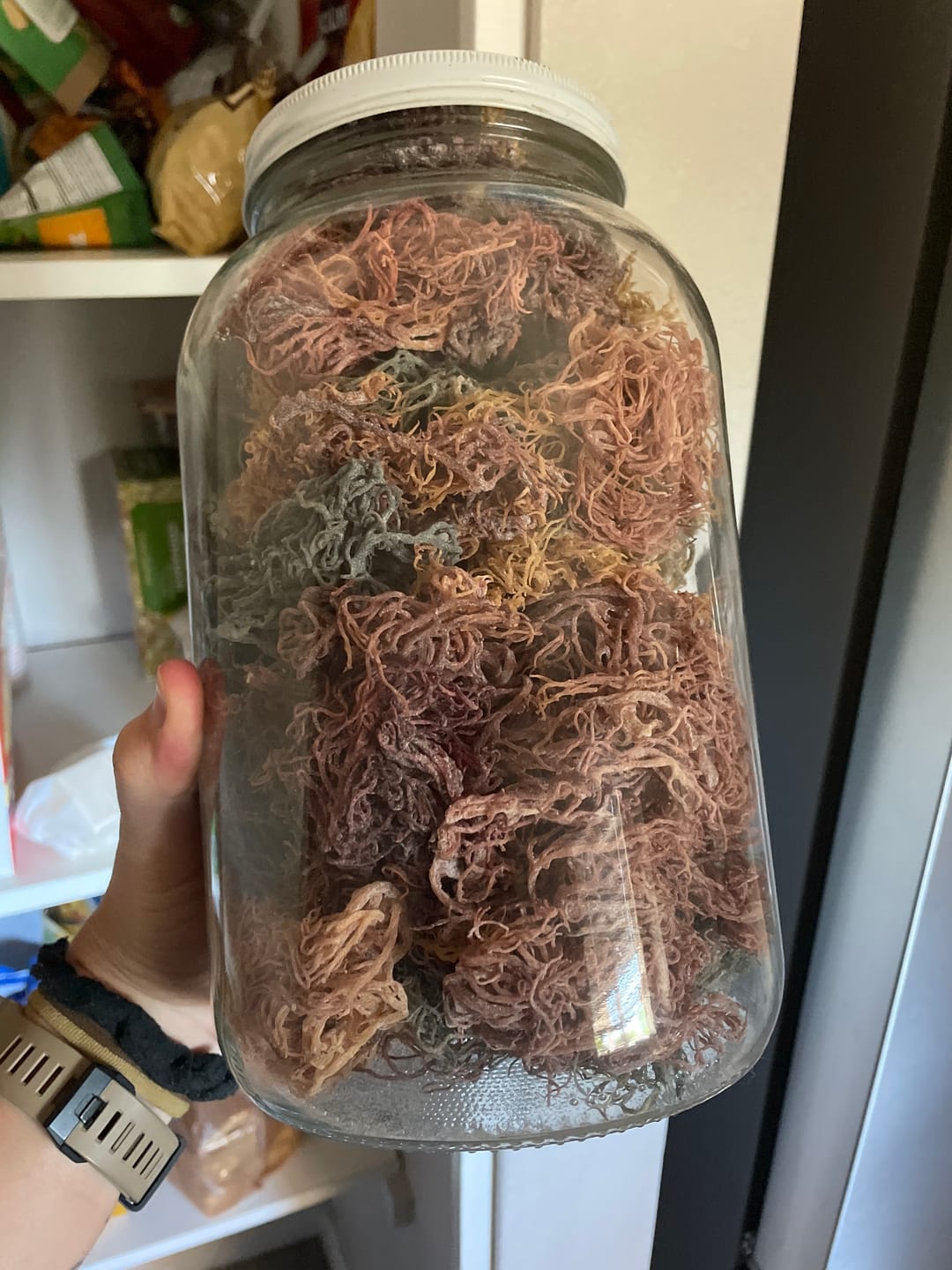 Customer photo review of Premium Full Spectrum St. Lucian Wildcrafted Raw Sun dried Sea Moss (Irish Sea Moss)