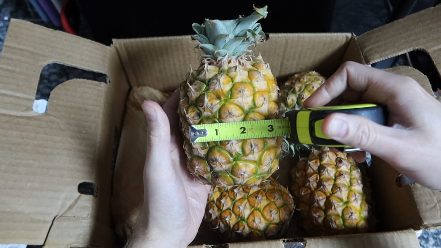 Customer photo review of Pineapple