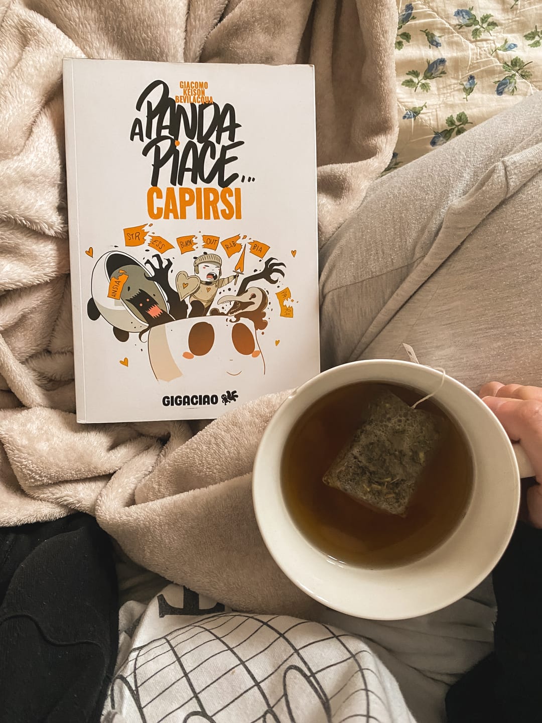 Customer photo review of A Panda Piace... Capirsi