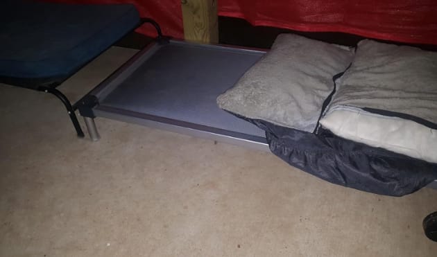 Customer photo review of TitanNest Padded Chew-Proof Elevated Dog Bed for Your Chewer