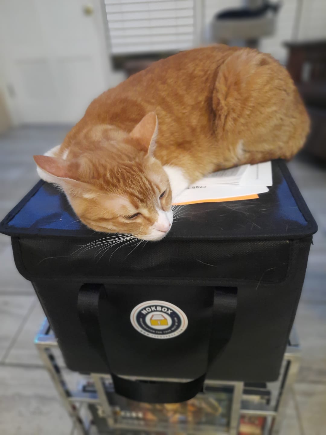 Customer photo review of Empty Fireproof Box