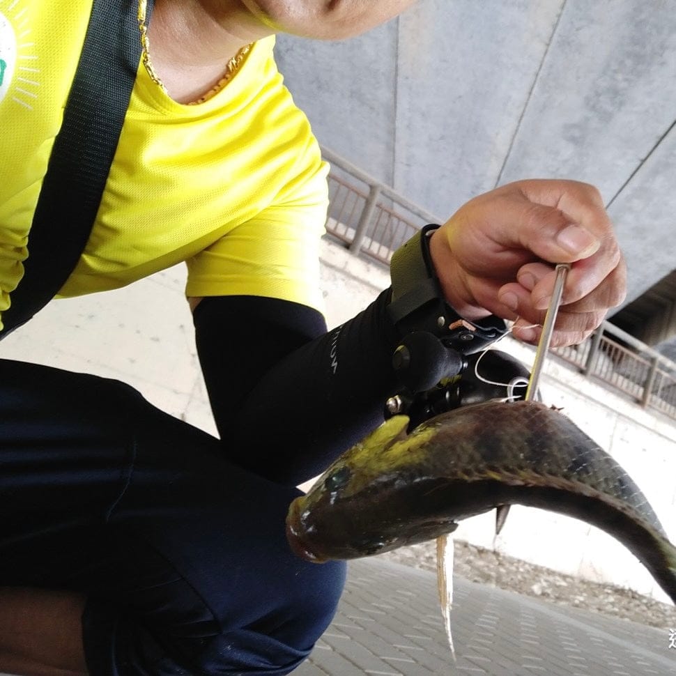 Customer photo review of 10-Pack Stainless Steel Fishing Darts