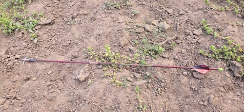 Customer photo review of Beast Broadheads (2-Pack + Practice Tip)