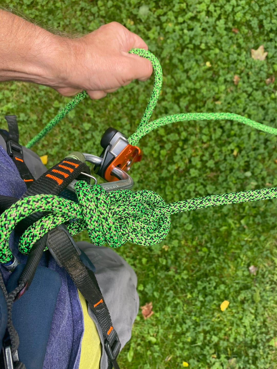Customer photo review of Neox Belay Device