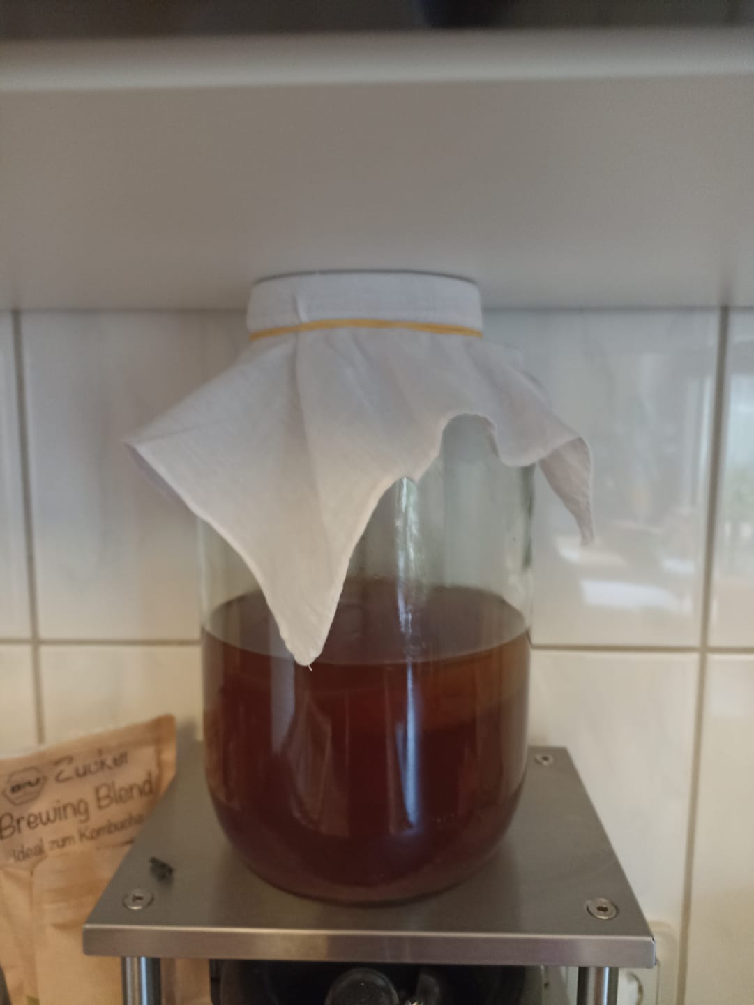Customer photo review of BIO Kombucha-Starterset: Vollausstattung mit Premium Scoby
