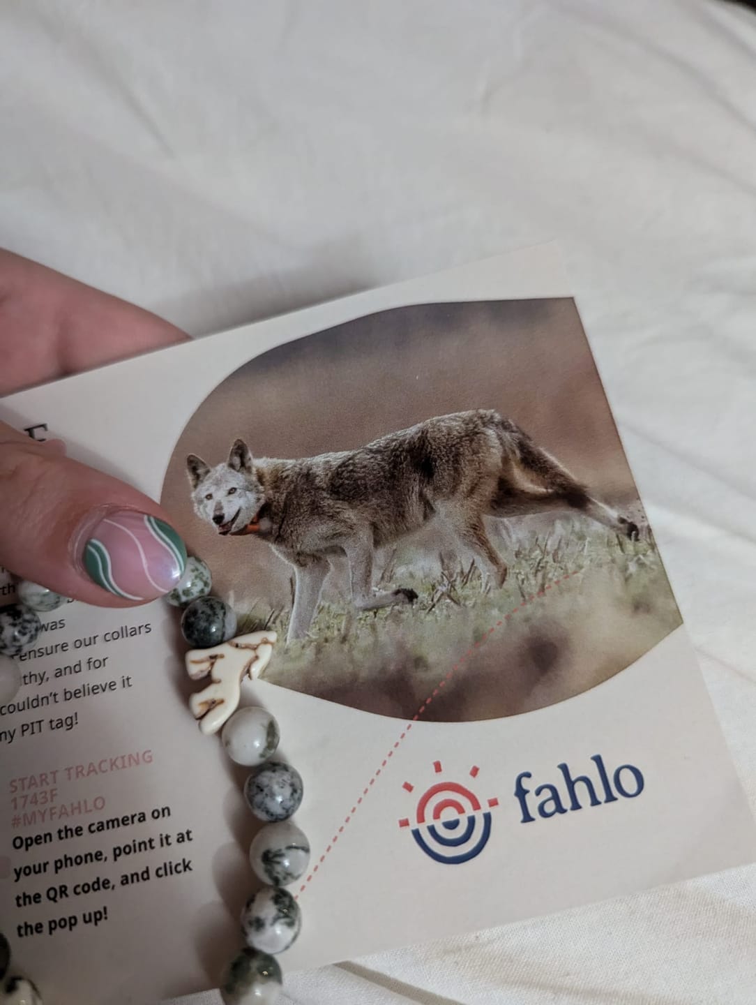 Customer photo review of The Scout Bracelet