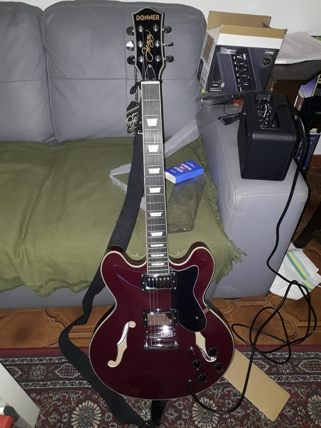 Customer photo review of Donner DJP-1000 Guitare Jazz Électrique