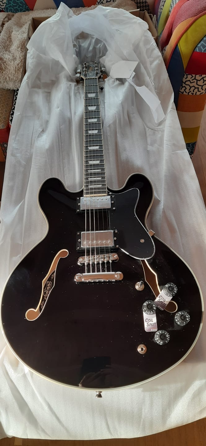 Customer photo review of Donner DJP-1000 Guitare Jazz Électrique