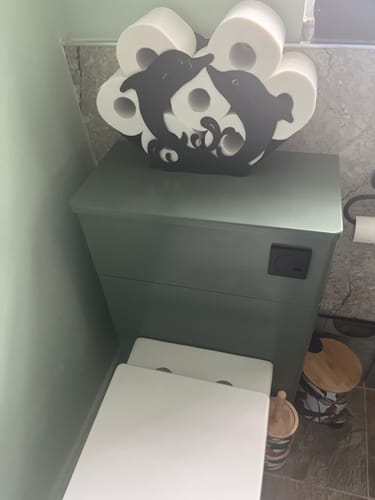 Customer photo review of Nuie Classique 500mm Back to Wall WC Unit - Satin Green