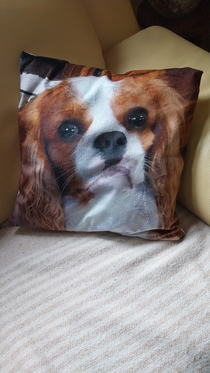 Customer photo review of Avec photo - Coussin personnalisé
