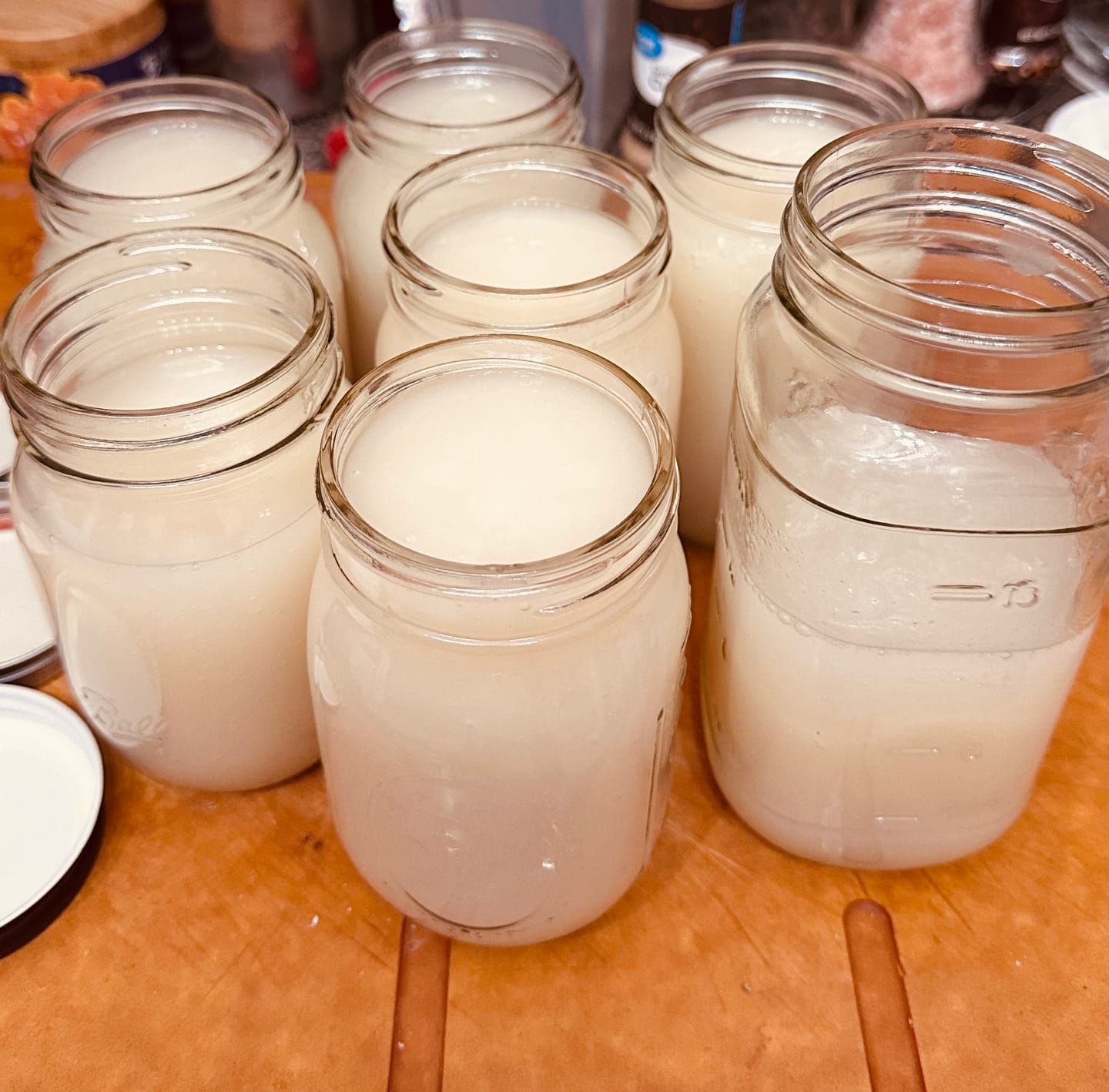 Customer photo review of Irish Sea moss