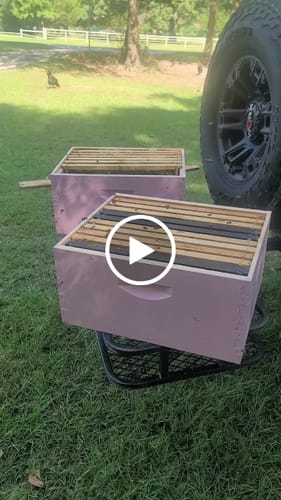 Customer video review of 9 1/8" Deep Plastic Frame Waxed - 52 pack