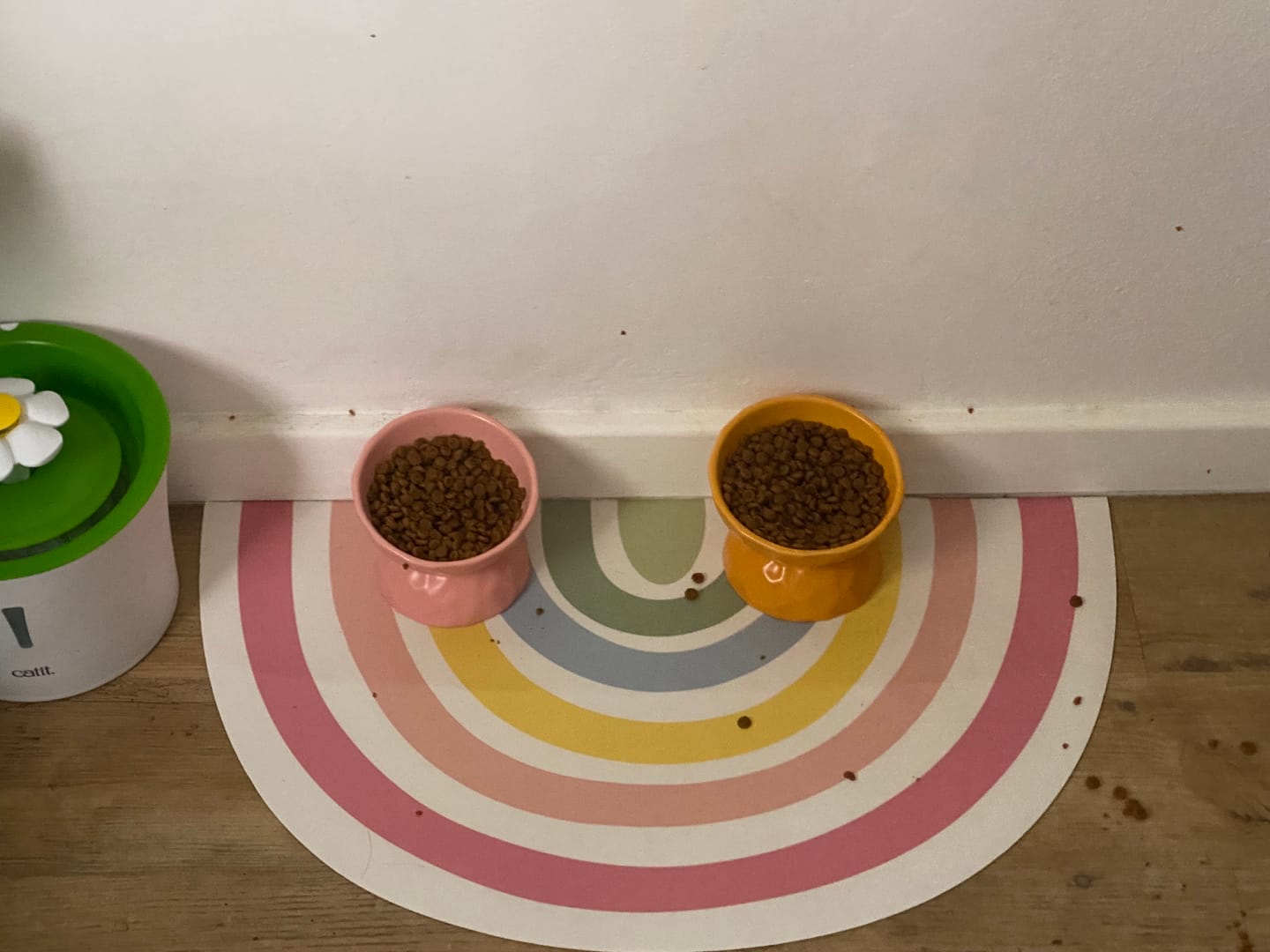 Customer photo review of Tilting Ceramic Cat Bowls With Uneven Texture