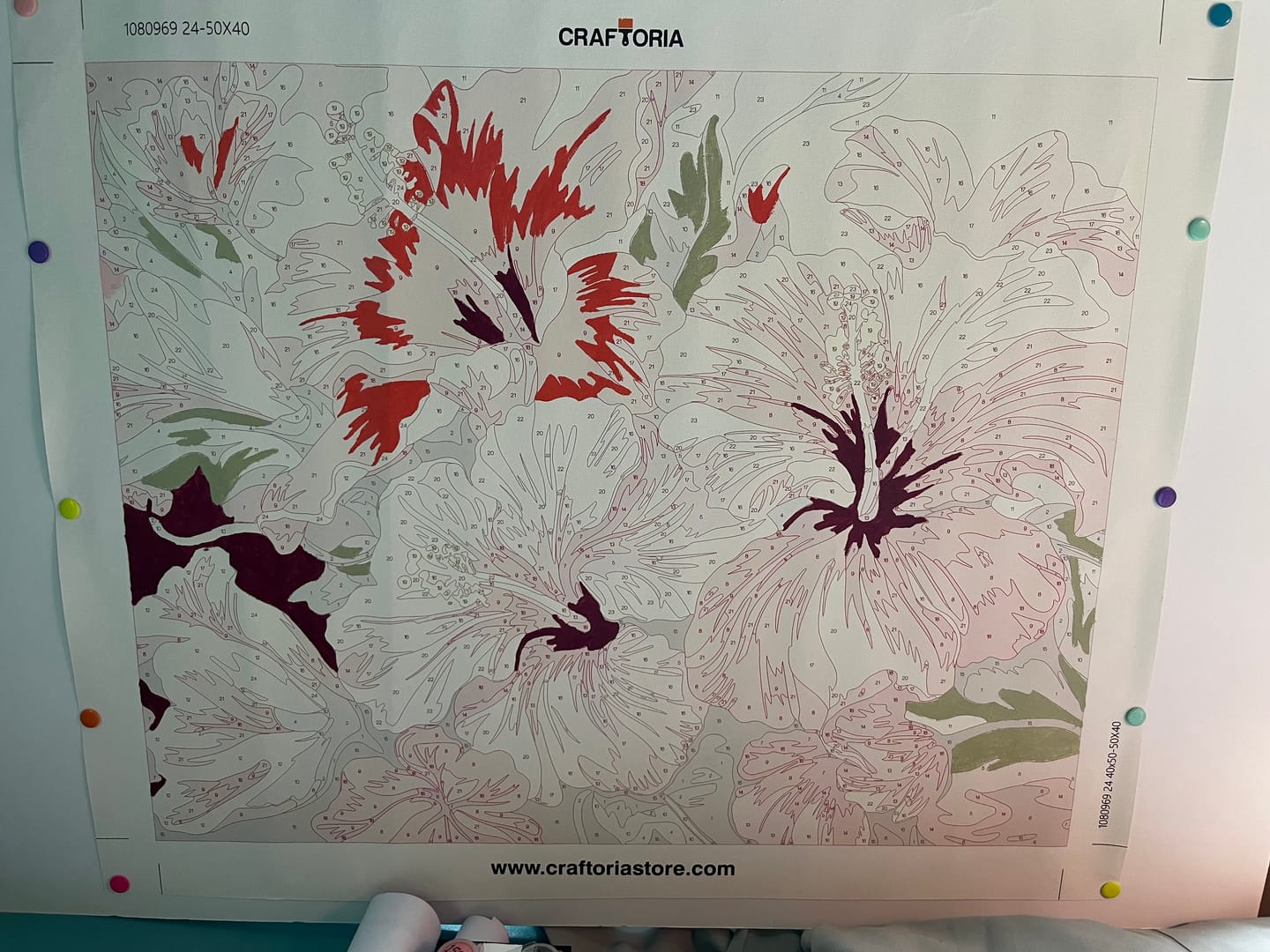 Customer photo review of Hibiscus Harmony