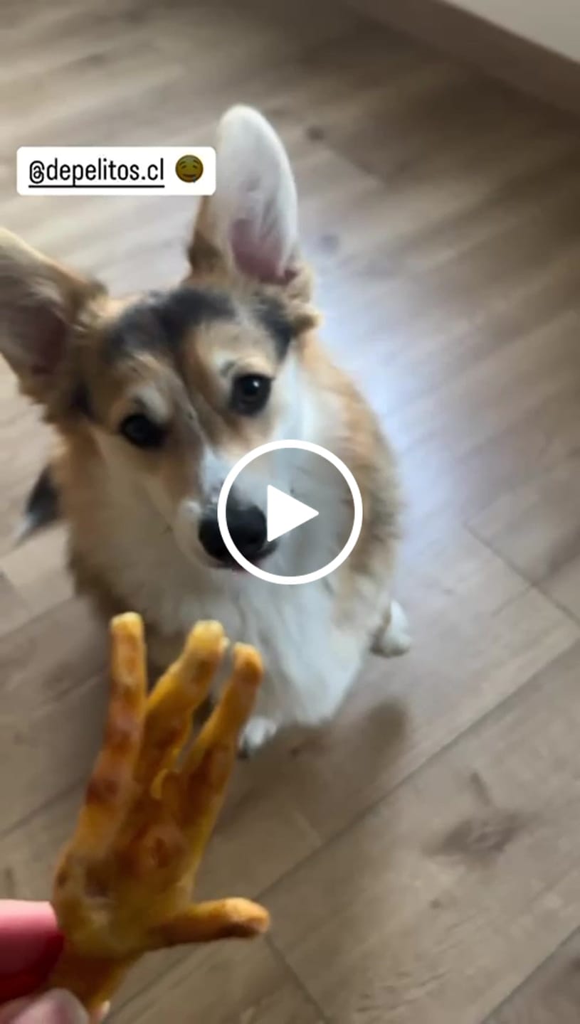 Customer video review of Patas de pollo