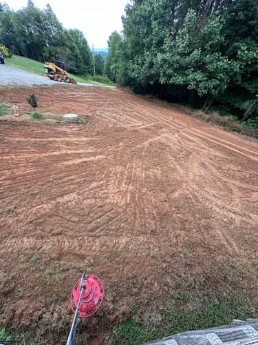 Customer photo review of In Store GCI Turf Cool Blue Grass Seed