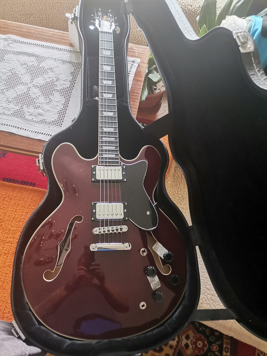 Customer photo review of Donner DJP-1000 Guitare Jazz Électrique