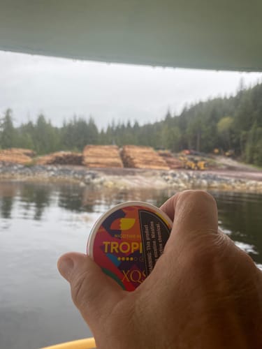 Customer photo review of Tropical Mint Nicotine Pouches