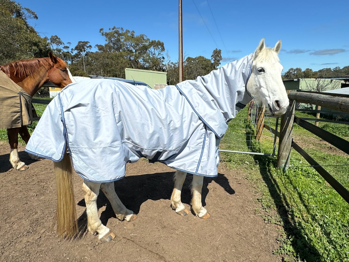 Customer photo review of LE Boxter Turnout Ripstop 50g