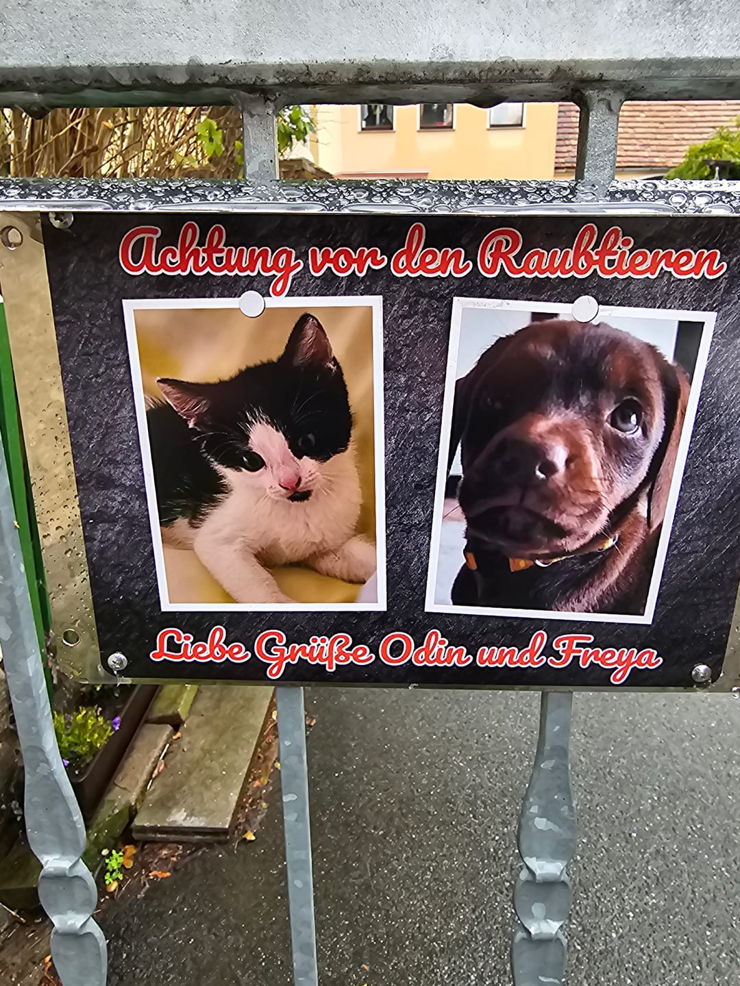 Customer photo review of Hunde-Türschild personalisiert mit Foto & Text (UV- und wetterfest)