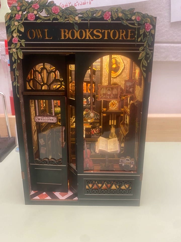 Customer photo review of Owl Bookstore DIY Book Nook Kit