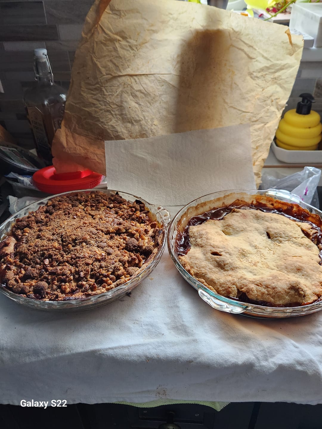 Customer photo review of Hawaiian Macadamia Nut Large Pieces