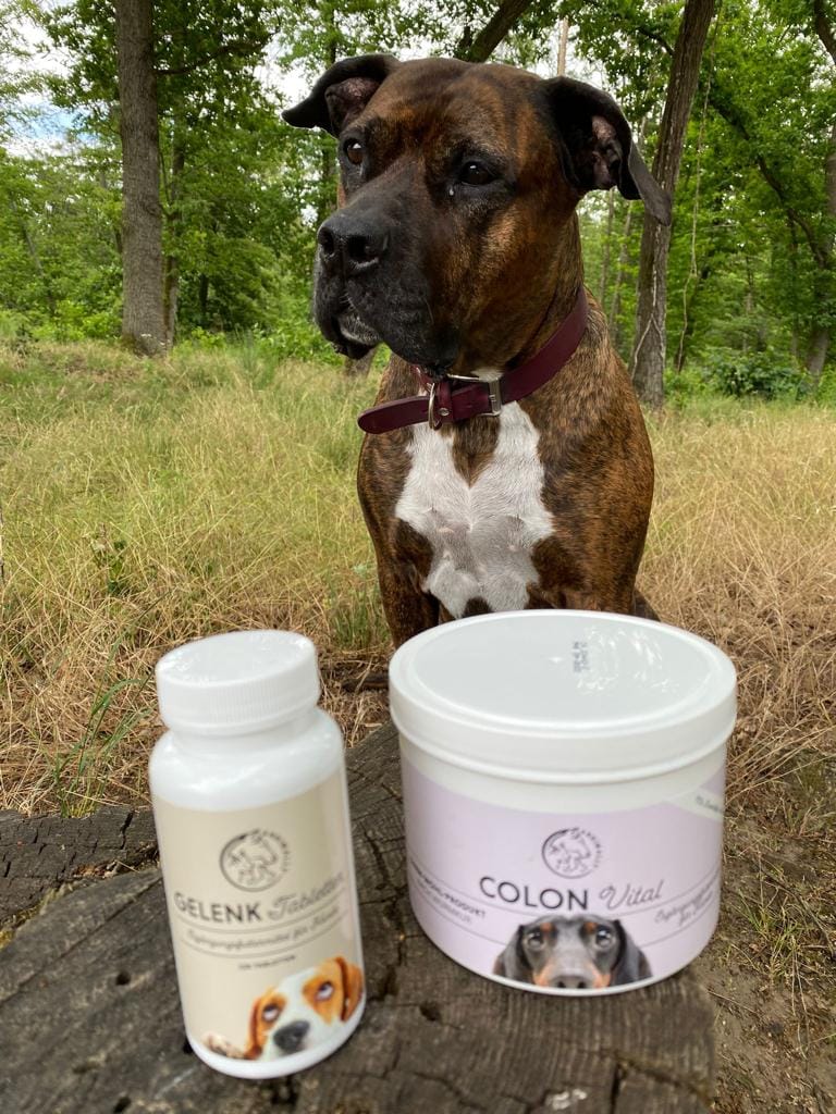 Customer photo review of Colon Vital Pulver