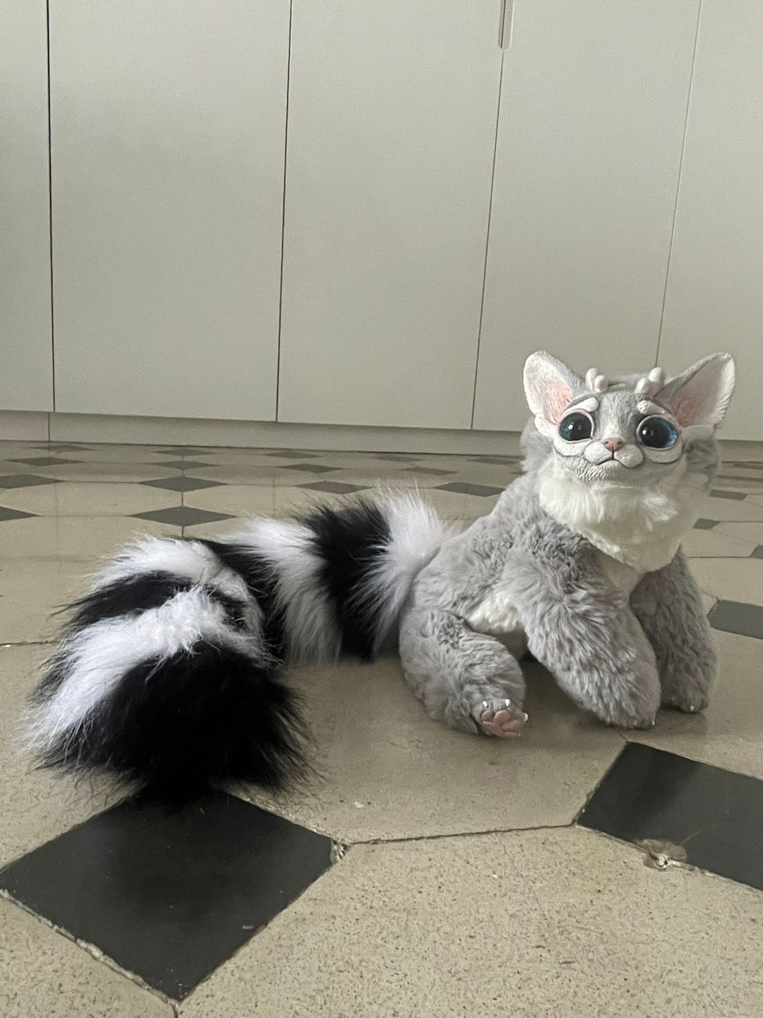 Customer photo review of Grey ring-tailed cat
