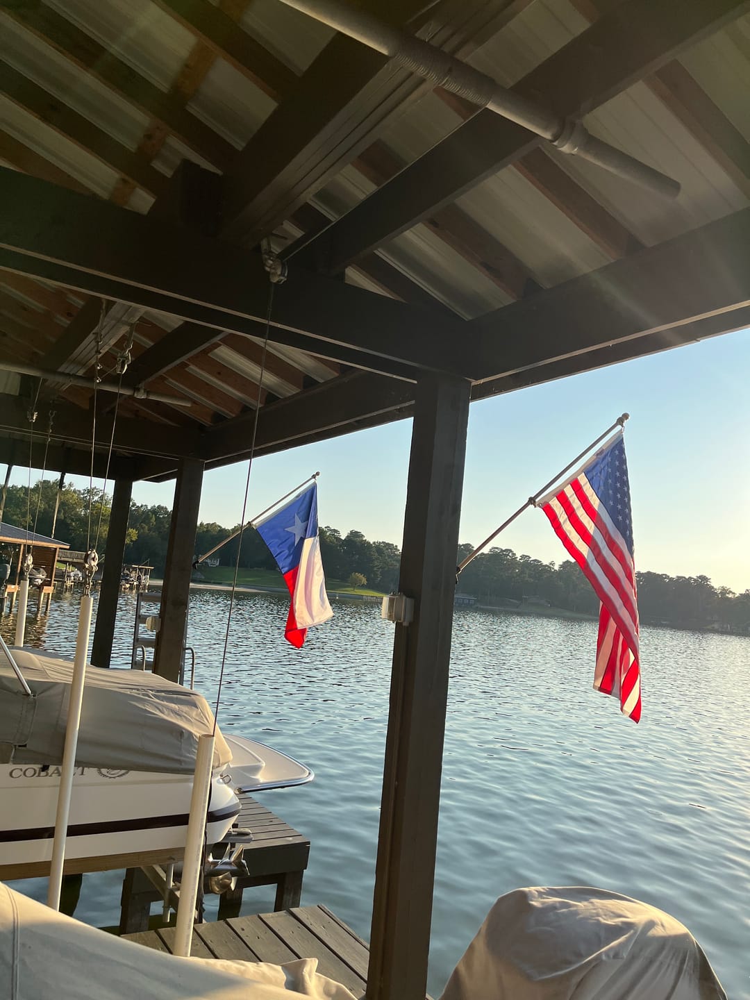 Customer photo review of 3' x 5' Texas Flag Set