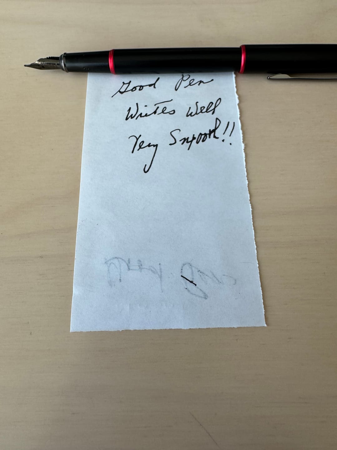 Customer photo review of Picasso Wonder Fountain Pen